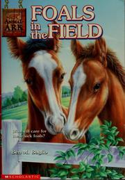 Foals in the field. Cover Image