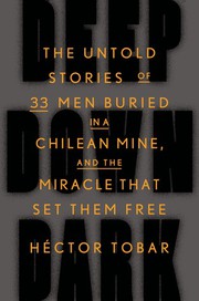 Deep down dark : the untold stories of 33 men buried in a Chilean mine, and the miracle that set them free  Cover Image