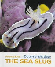 Down in the sea. The sea slug  Cover Image
