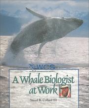 A whale biologist at work  Cover Image
