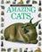 Go to record Amazing cats