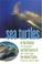 Go to record Sea turtles of the Atlantic and Gulf coasts of the United ...