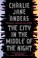 Go to record The city in the middle of the night
