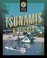 Go to record Tsunamis & seiches