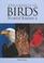 Go to record A field guide to the birds of North America
