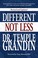 Go to record Different ...not less : inspiring stories of achievement a...