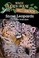 Go to record Snow leopards and other wild cats : a nonfiction companion...
