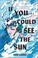 Go to record If you could see the sun