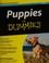 Go to record Puppies for dummies