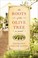 Go to record The roots of the olive tree