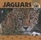 Go to record Jaguars