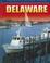 Go to record Delaware
