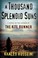 Go to record A thousand splendid suns