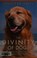 Go to record The divinity of dogs : true stories of miracles inspired b...