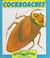 Go to record Cockroaches