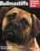 Go to record Bullmastiffs : everything about their ancestry, behavior, ...