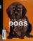Go to record Dogs and cats