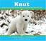 Go to record Knut : how one little polar bear captivated the world