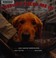 Go to record Tuesday tucks me in : the loyal bond between a soldier and...