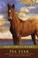 Go to record Sea Star : orphan of Chincoteague