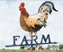 Go to record Farm