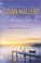 Go to record Evening stars : a Blackberry Island novel