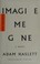 Go to record Imagine me gone : a novel