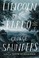 Go to record Lincoln in the Bardo : a novel